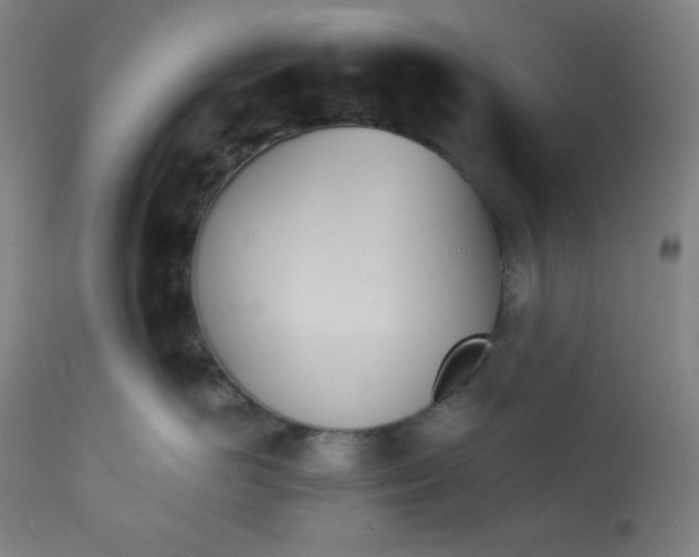 X0000112920766200909080934