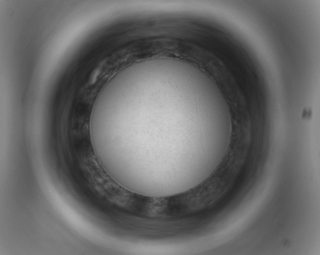 X0000112920767200909080934