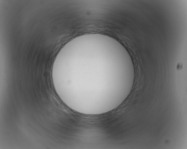 X0000112920768200909080934
