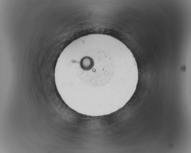 X0000112920769200909080933