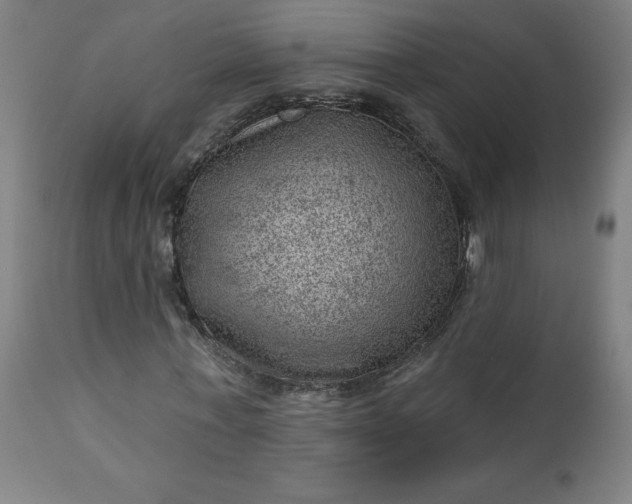 X0000112920771200909080933