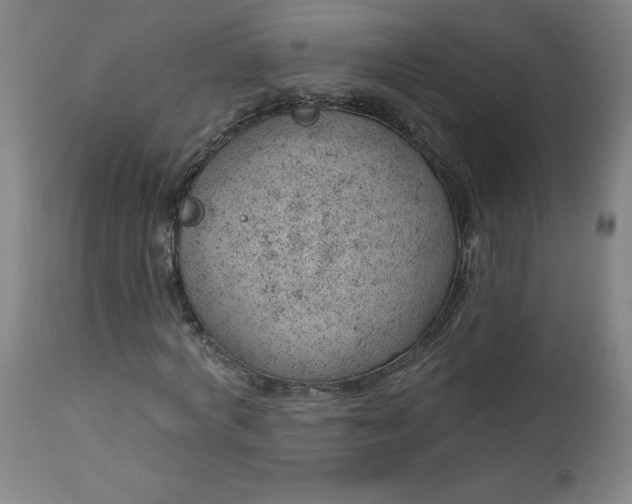 X0000112920772200909080933