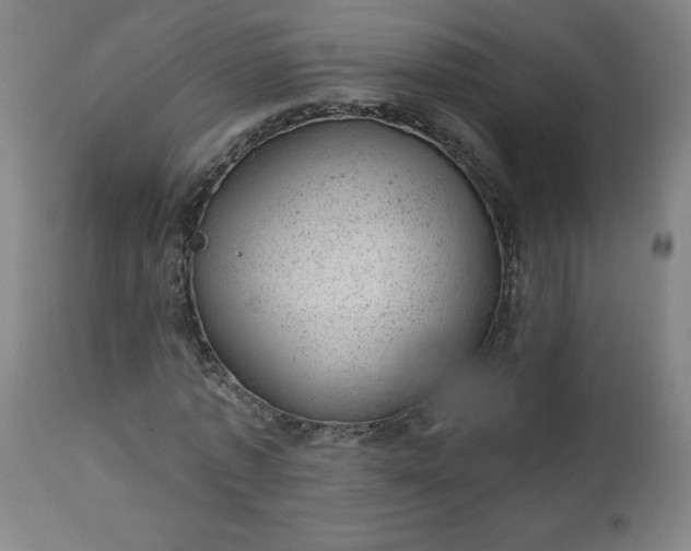 X0000112920773200909080933
