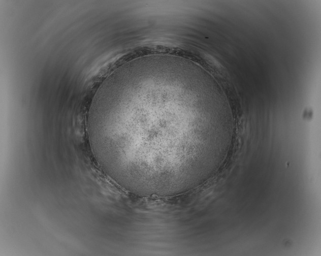 X0000112920774200909080933
