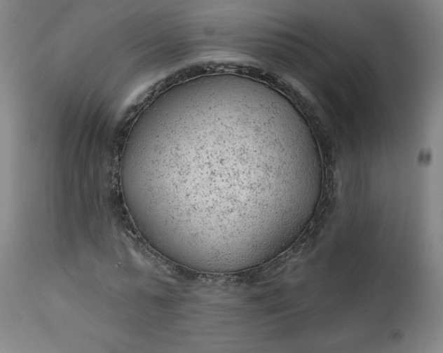 X0000112920775200909080933