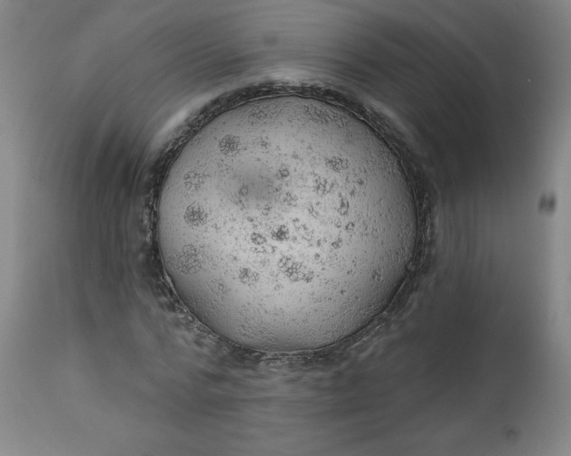 X0000112920776200909080933