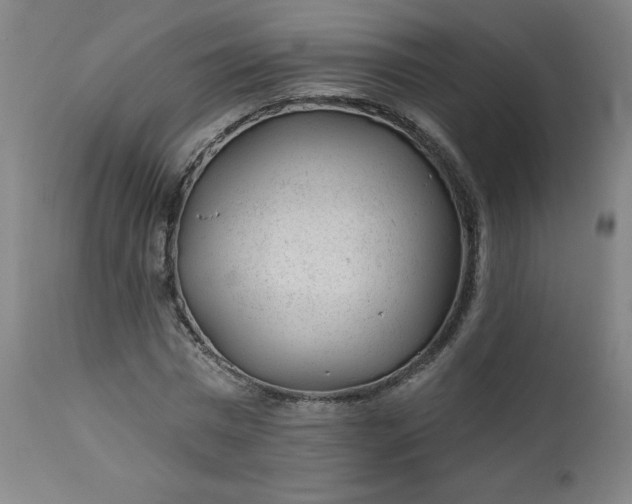 X0000112920777200909080933