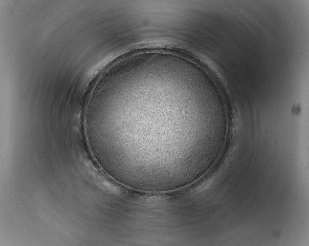 X0000112920778200909080933