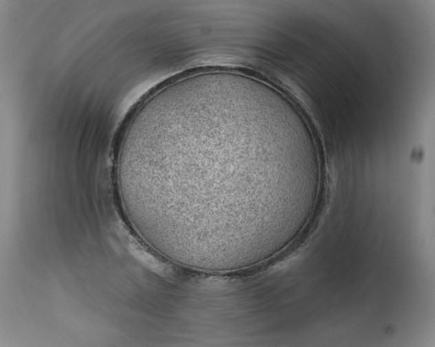 X0000112920779200909080933
