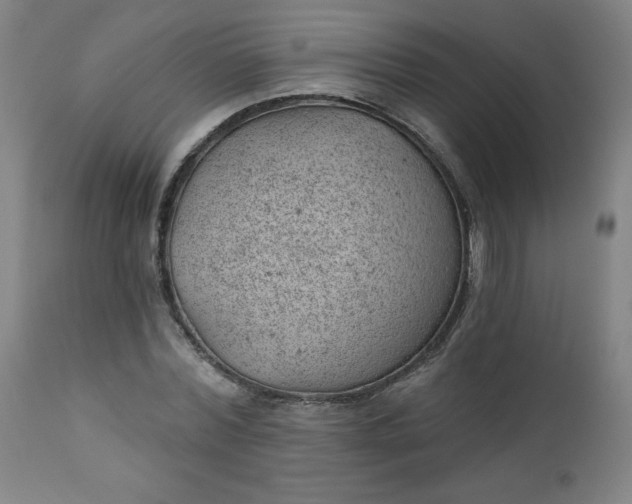 X0000112920780200909080933