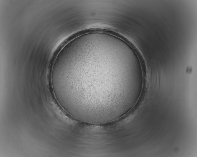 X0000112920783200909080933