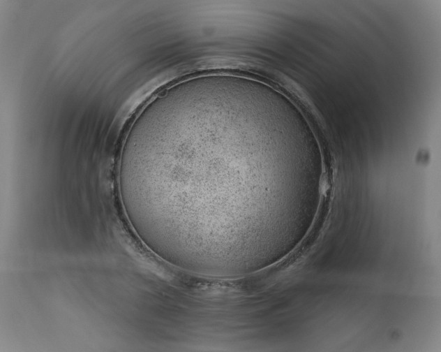 X0000112920786200909080933
