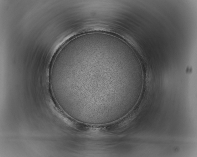 X0000112920790200909080933
