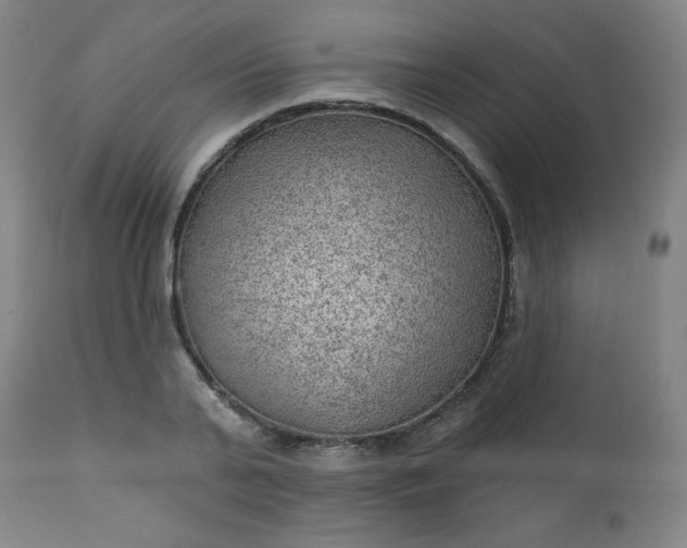X0000112920791200909080933