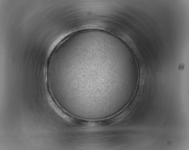 X0000112920796200909080933
