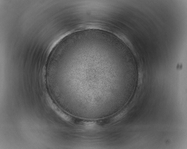 X0000112920798200909080933