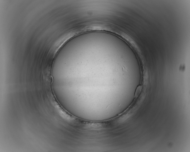 X0000112920801200909080933