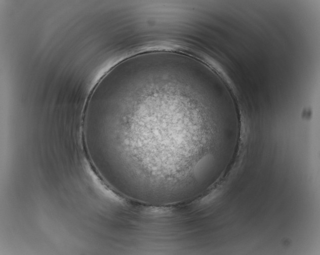 X0000112920802200909080933