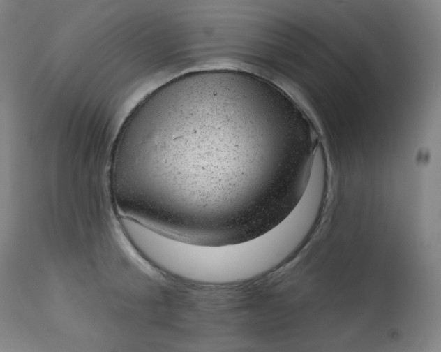 X0000112920805200909080932