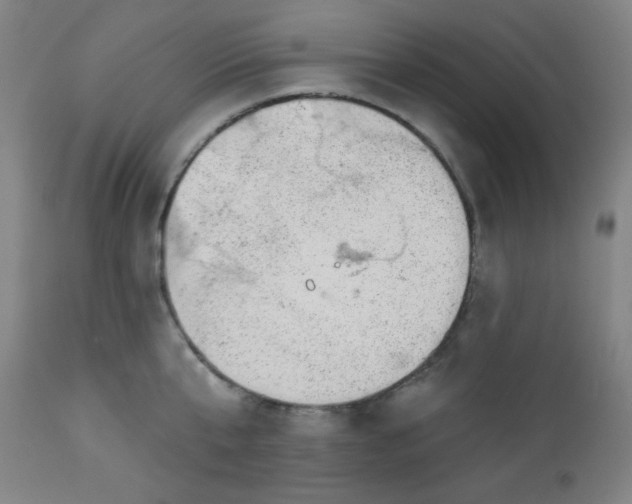 X0000112920807200909080932