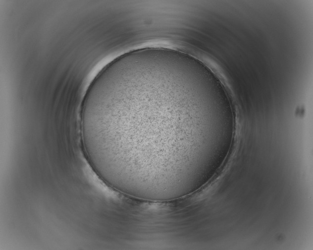 X0000112920808200909080932