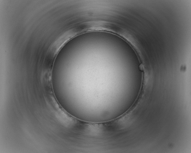 X0000112920809200909080932