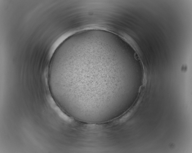 X0000112920812200909080932