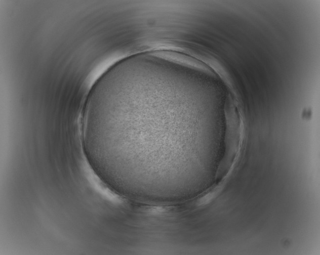 X0000112920814200909080932