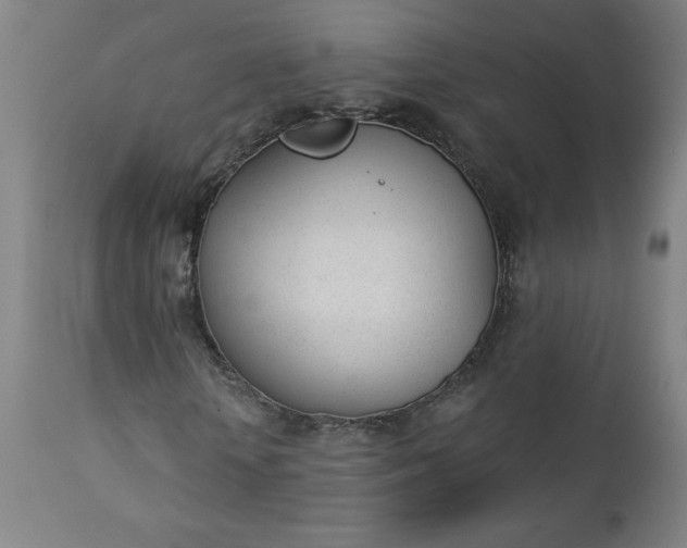 X0000112920818200909080932