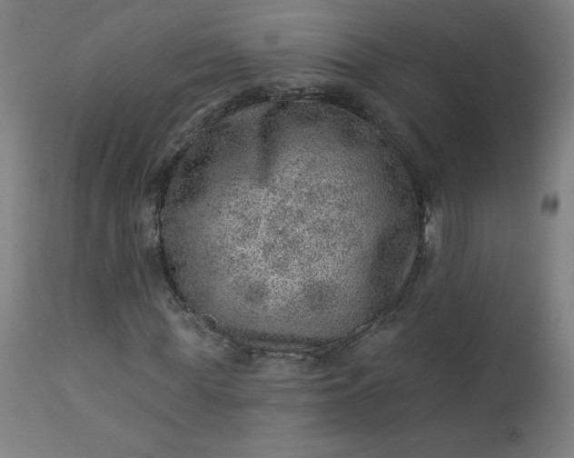 X0000112920819200909080932