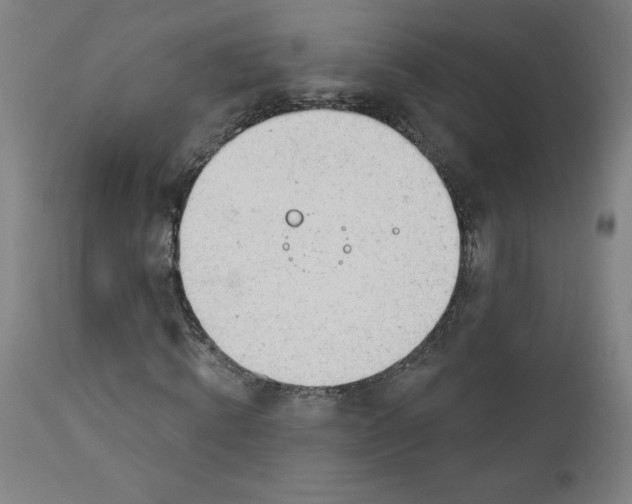 X0000112920820200909080932