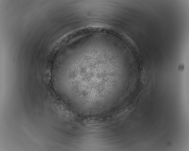 X0000112920821200909080932