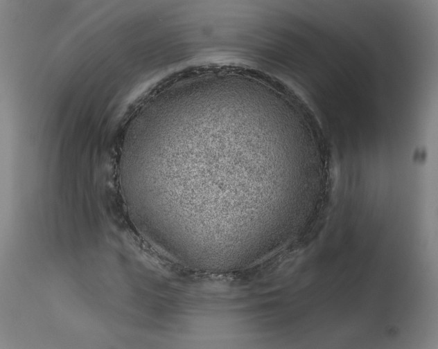 X0000112920823200909080932