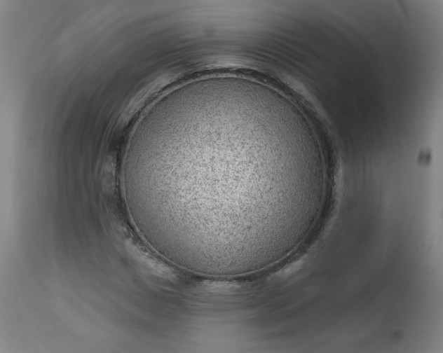 X0000112920825200909080932
