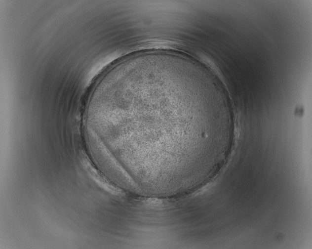 X0000112920827200909080932