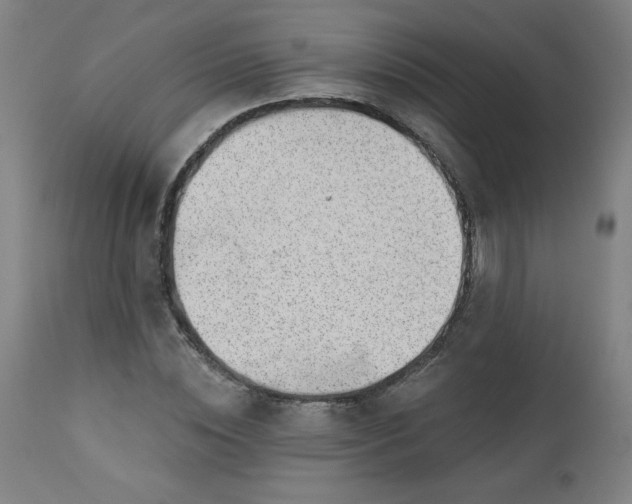 X0000112920828200909080932