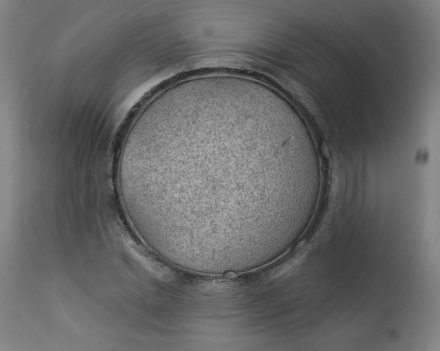 X0000112920830200909080932