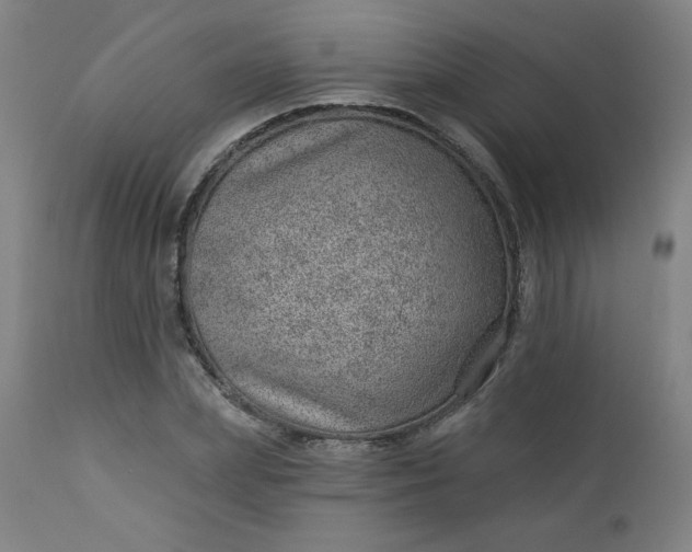 X0000112920831200909080932