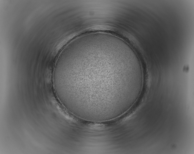 X0000112920833200909080932