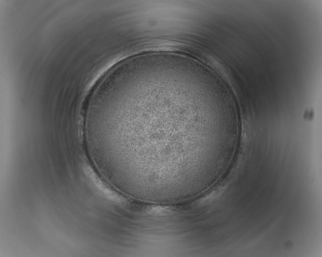 X0000112920835200909080932