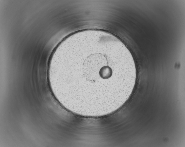 X0000112920836200909080932