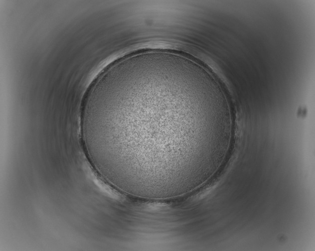 X0000112920837200909080932