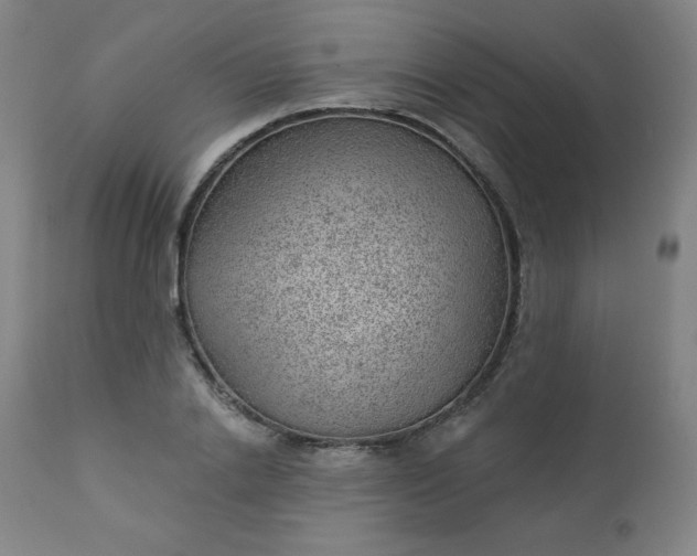 X0000112920838200909080932