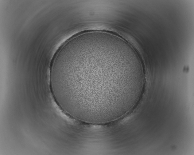 X0000112920839200909080932