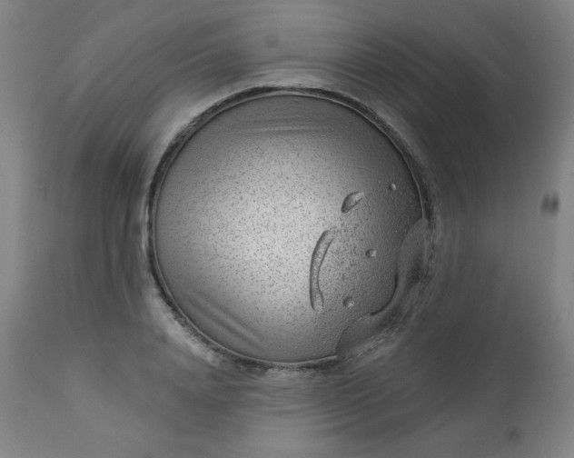 X0000112920840200909080932
