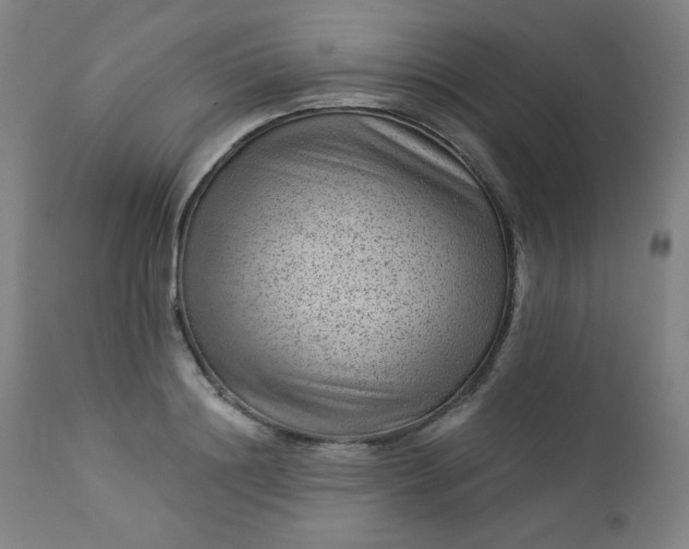 X0000112920844200909080932