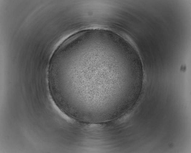 X0000112920847200909080932