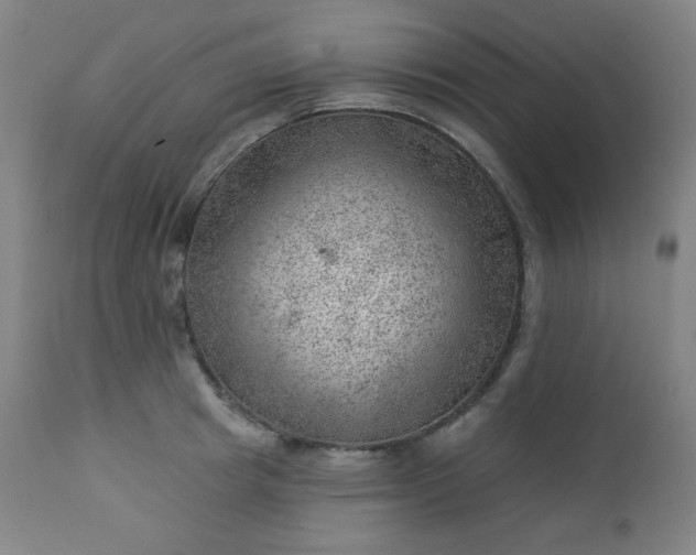 X0000112920849200909080932