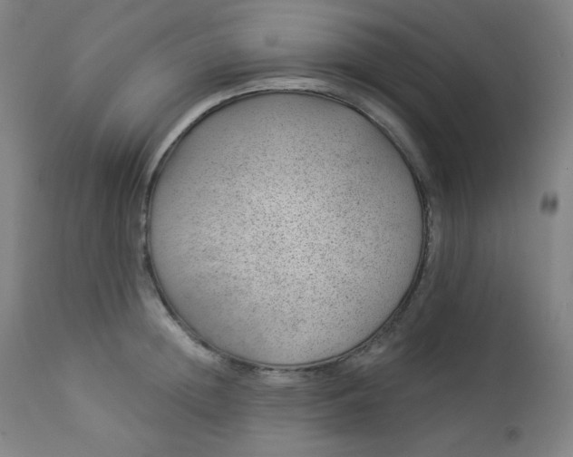 X0000112920852200909080932