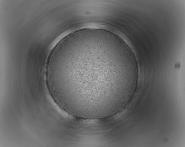 X0000112920853200909080932
